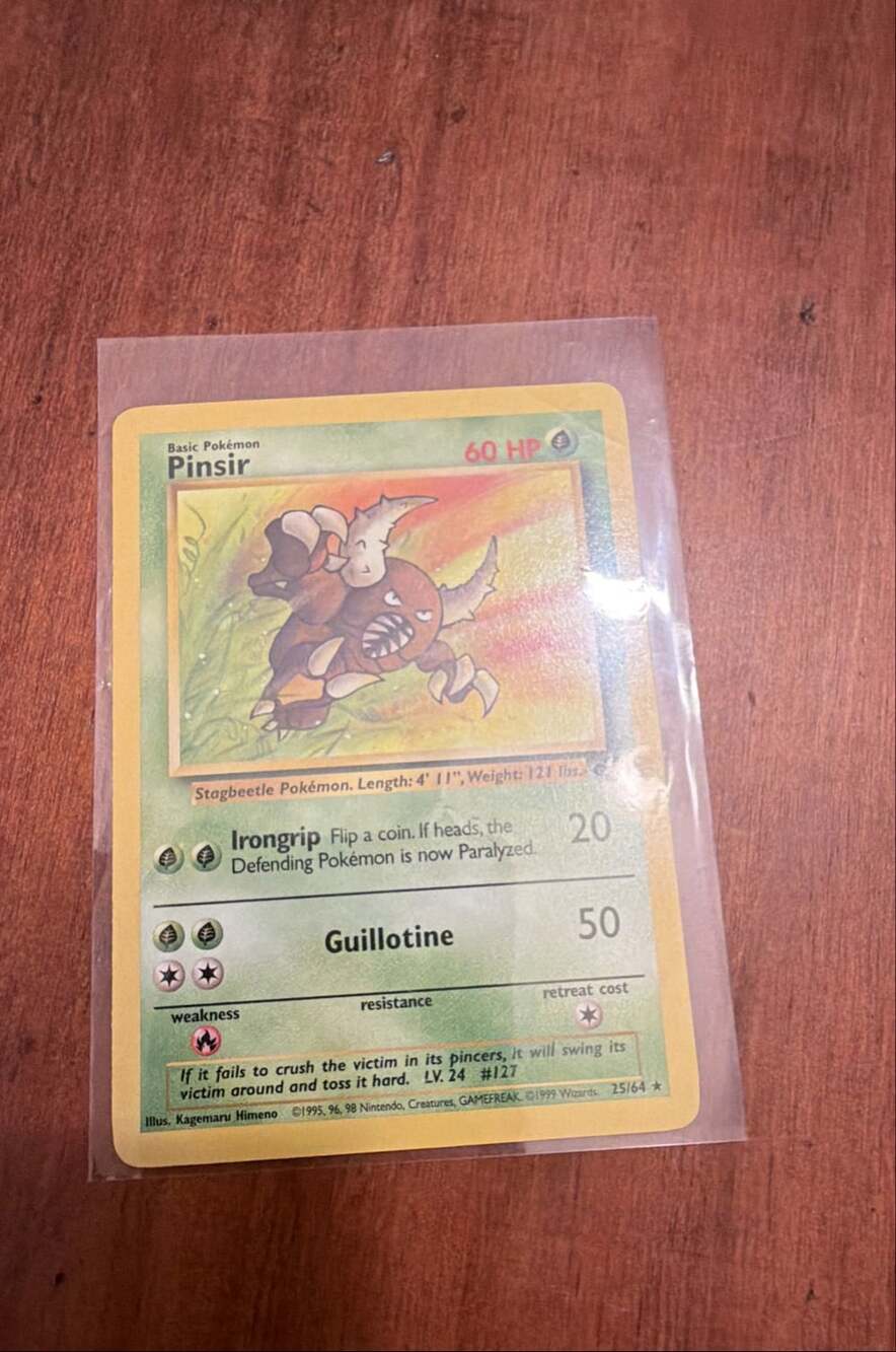 Pinsir 25/64 Jungle Regular